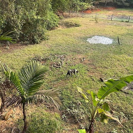 Hostelexp, Gokarna - A Slow-Paced Backpackers Community מראה חיצוני תמונה