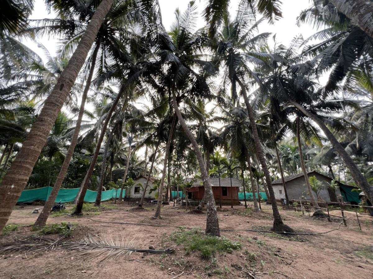 Hostelexp, Gokarna - A Slow-Paced Backpackers Community מראה חיצוני תמונה