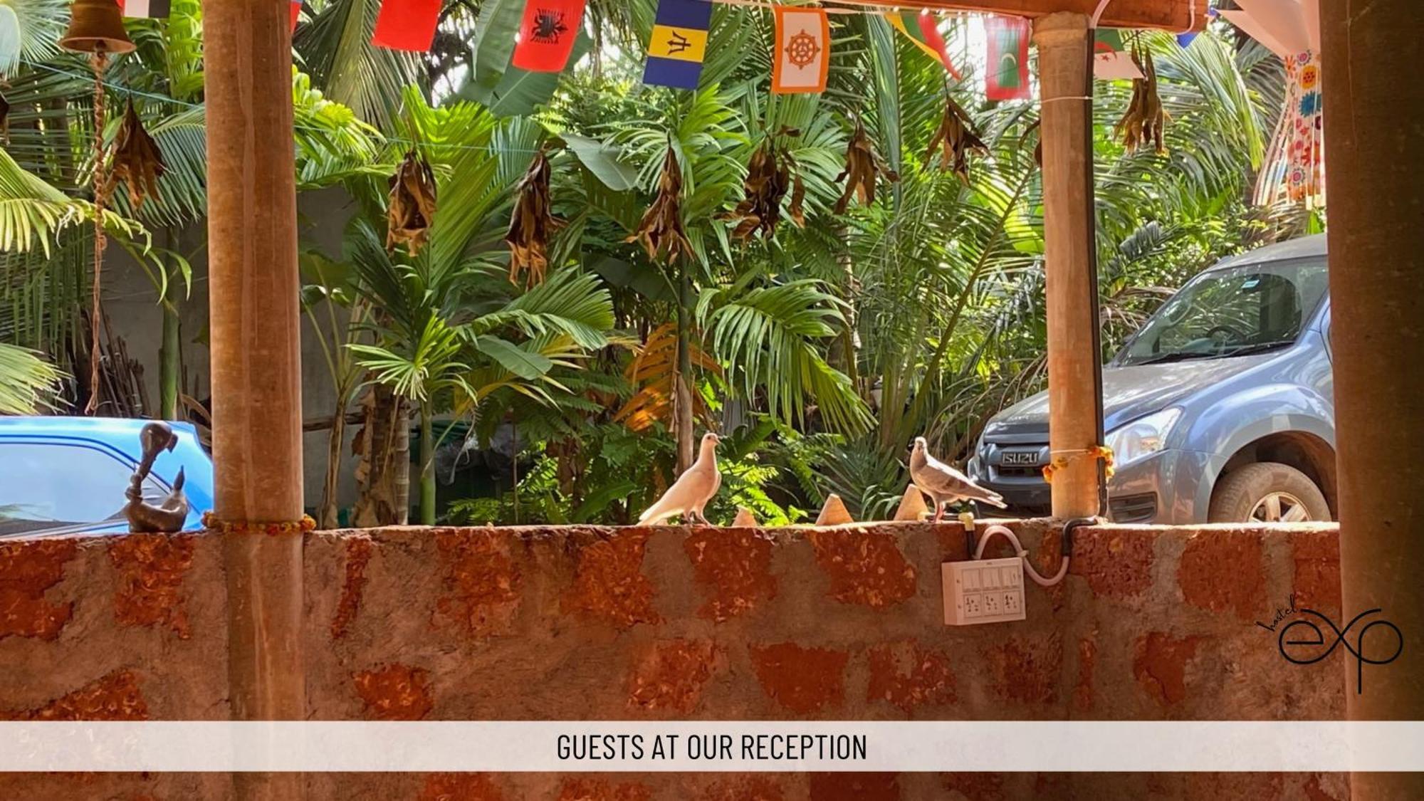 Hostelexp, Gokarna - A Slow-Paced Backpackers Community מראה חיצוני תמונה